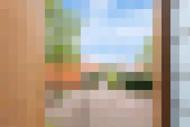 Gele Plomp 24 Amersfoort thumbnail 35