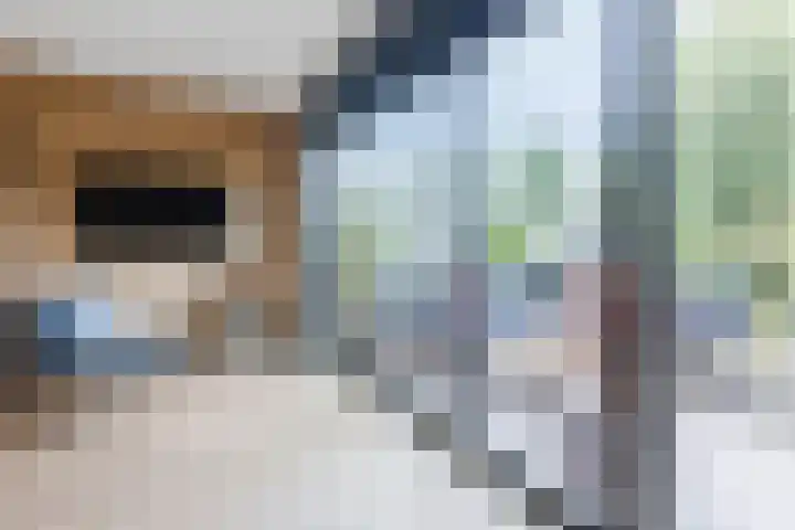 Gele Plomp 4 Amersfoort thumbnail 13