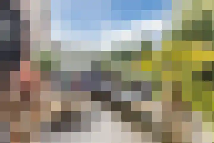 Gele Plomp 4 Amersfoort thumbnail 15