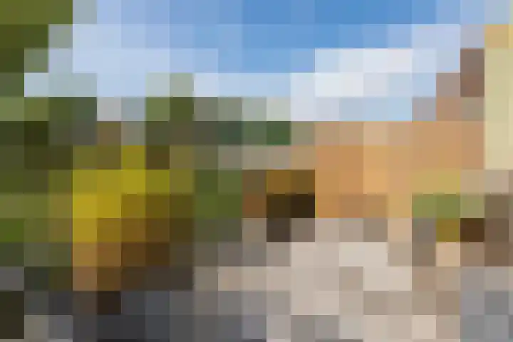 Gele Plomp 4 Amersfoort thumbnail 16