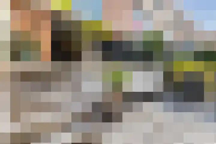 Gele Plomp 4 Amersfoort thumbnail 17
