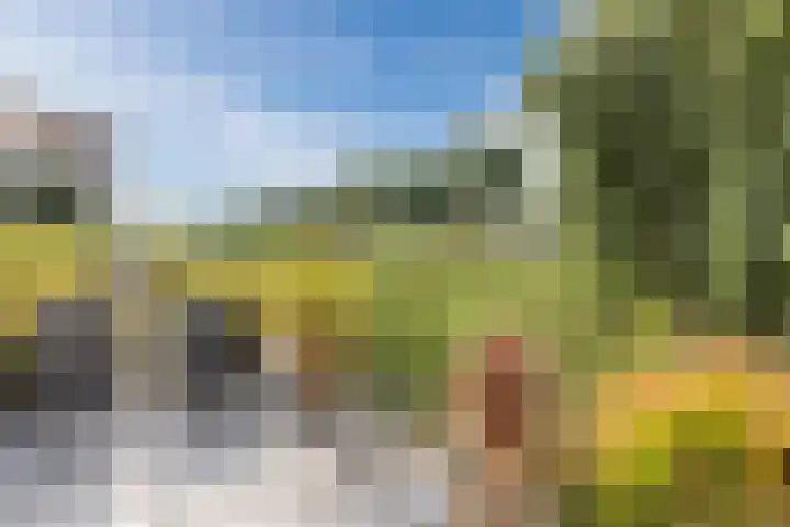 Gele Plomp 4 Amersfoort thumbnail 18