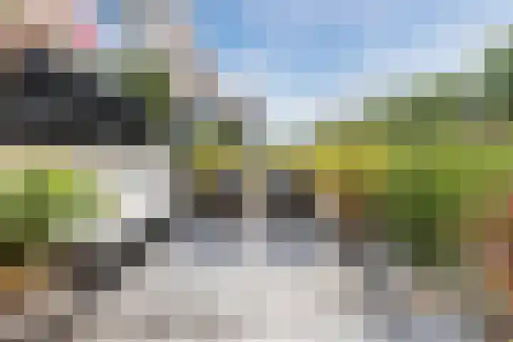 Gele Plomp 4 Amersfoort thumbnail 19