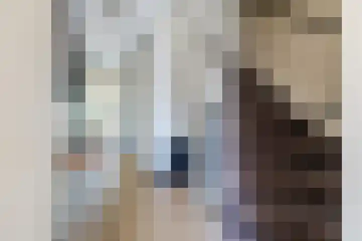 Gele Plomp 4 Amersfoort thumbnail 20