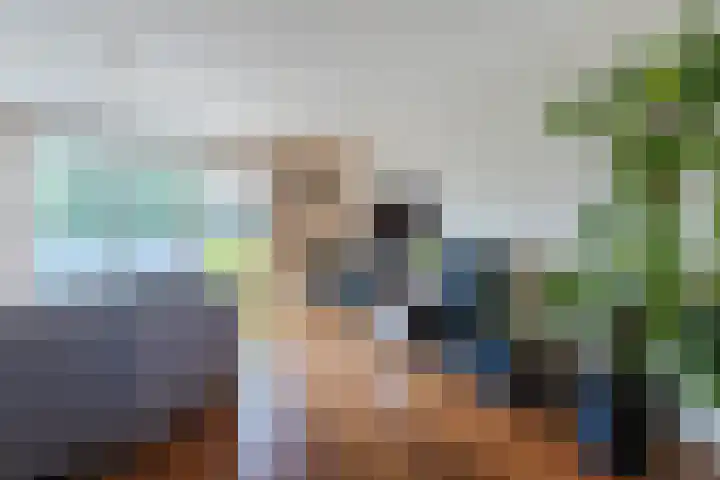 Gele Plomp 4 Amersfoort thumbnail 21