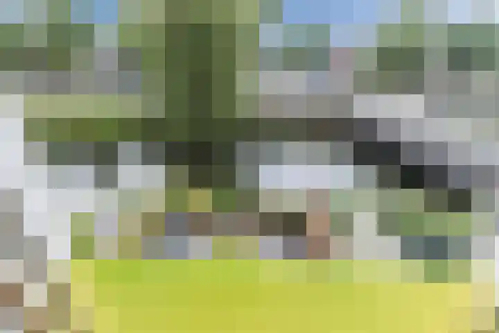Gele Plomp 4 Amersfoort thumbnail 22