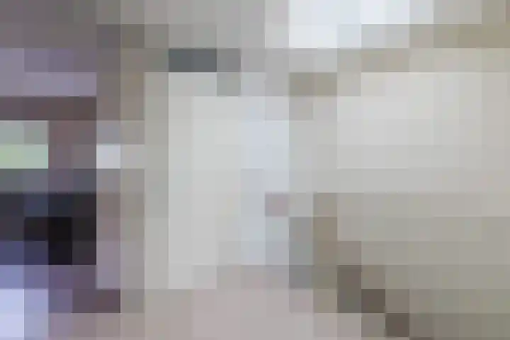 Gele Plomp 4 Amersfoort thumbnail 32