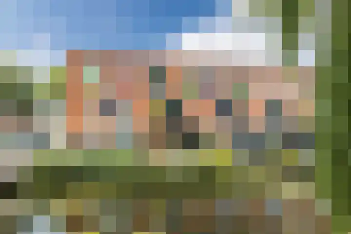 Gele Plomp 4 Amersfoort thumbnail 4
