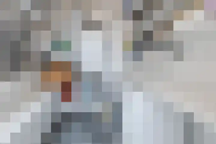 Gele Plomp 4 Amersfoort thumbnail 40