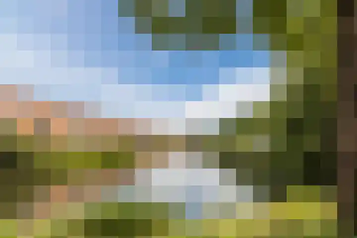 Gele Plomp 4 Amersfoort thumbnail 45