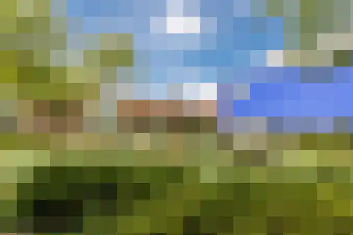Gele Plomp 4 Amersfoort thumbnail 46