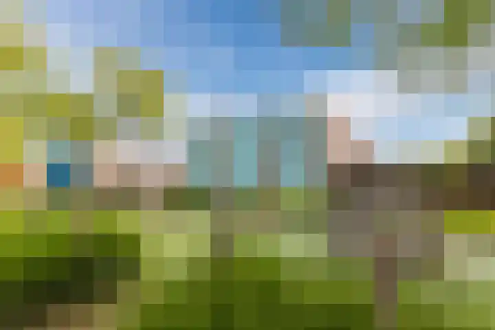 Gele Plomp 4 Amersfoort thumbnail 47
