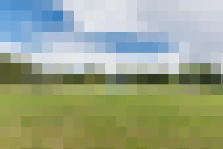 Gele Plomp 4 Amersfoort thumbnail 48