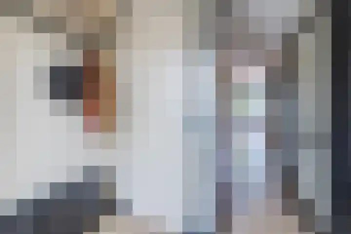 Gele Plomp 4 Amersfoort thumbnail 8