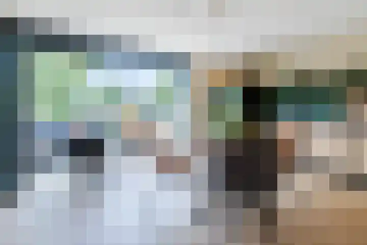 Gele Plomp 4 Amersfoort thumbnail 9