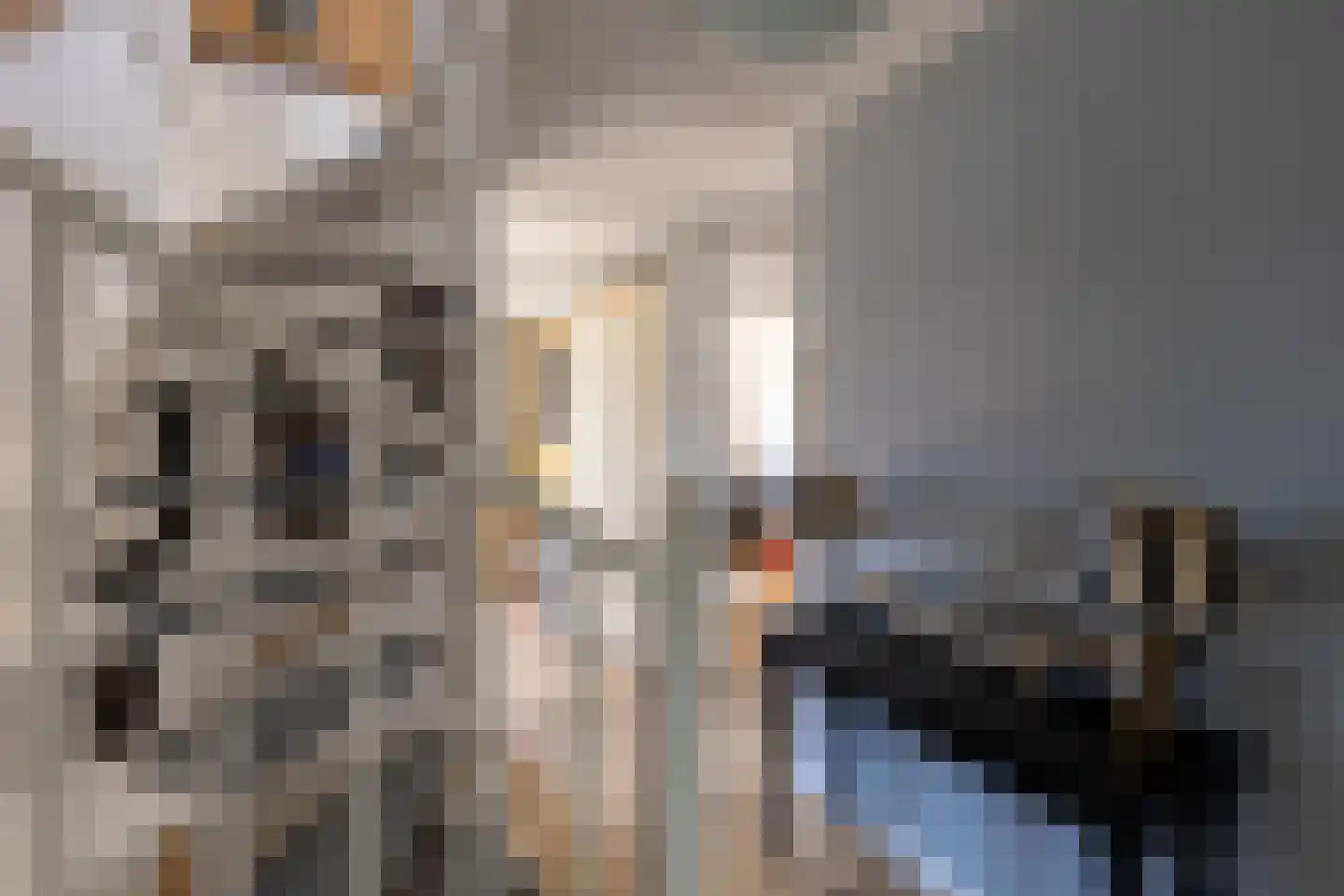 Gele Plomp 40 Amersfoort thumbnail 21