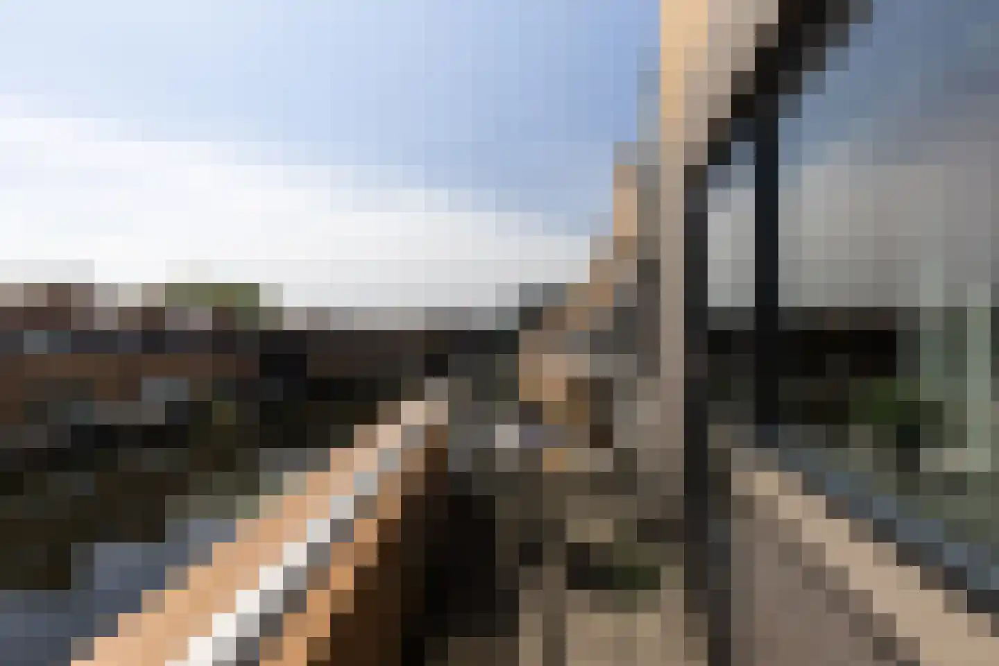 Gele Plomp 40 Amersfoort thumbnail 26