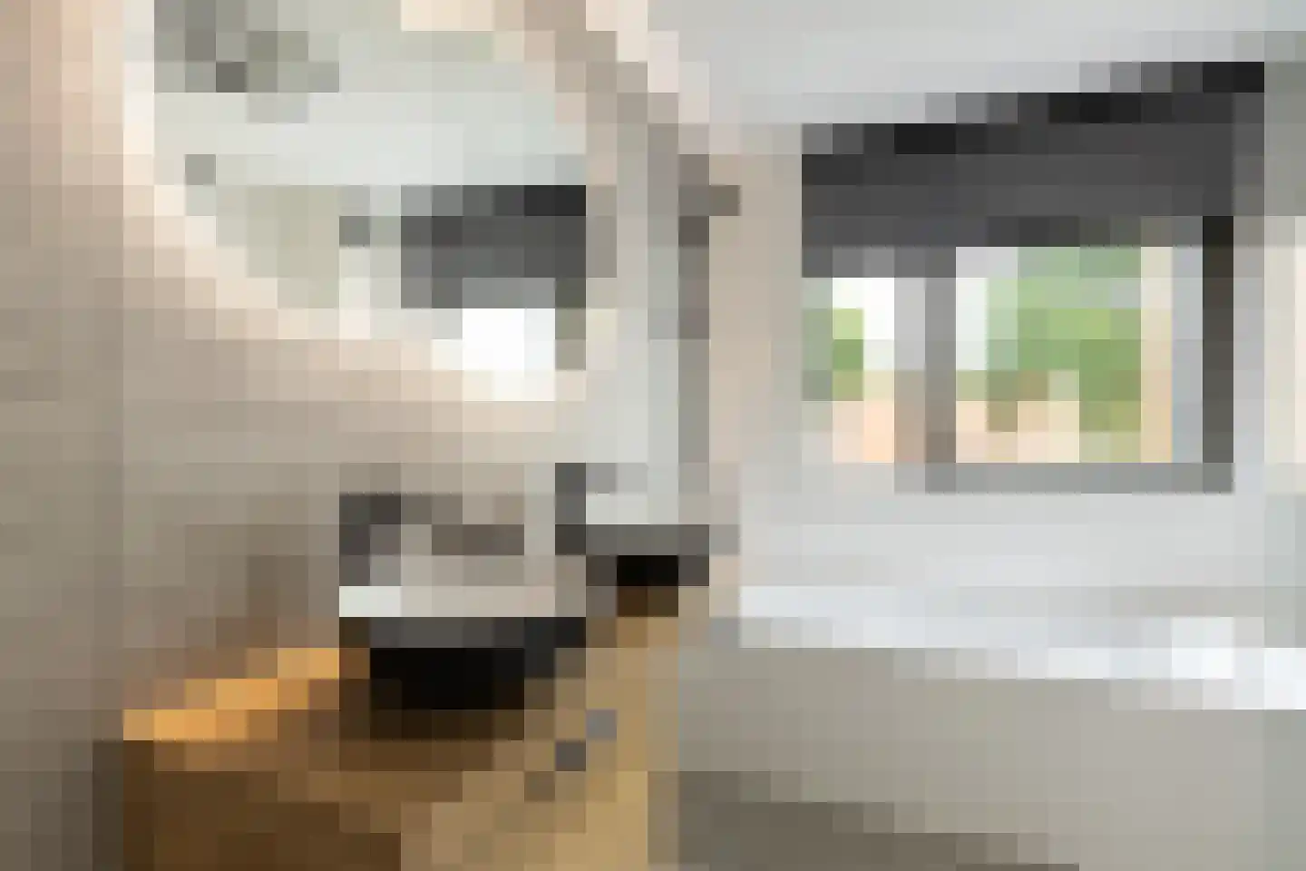 Gele Plomp 40 Amersfoort thumbnail 31
