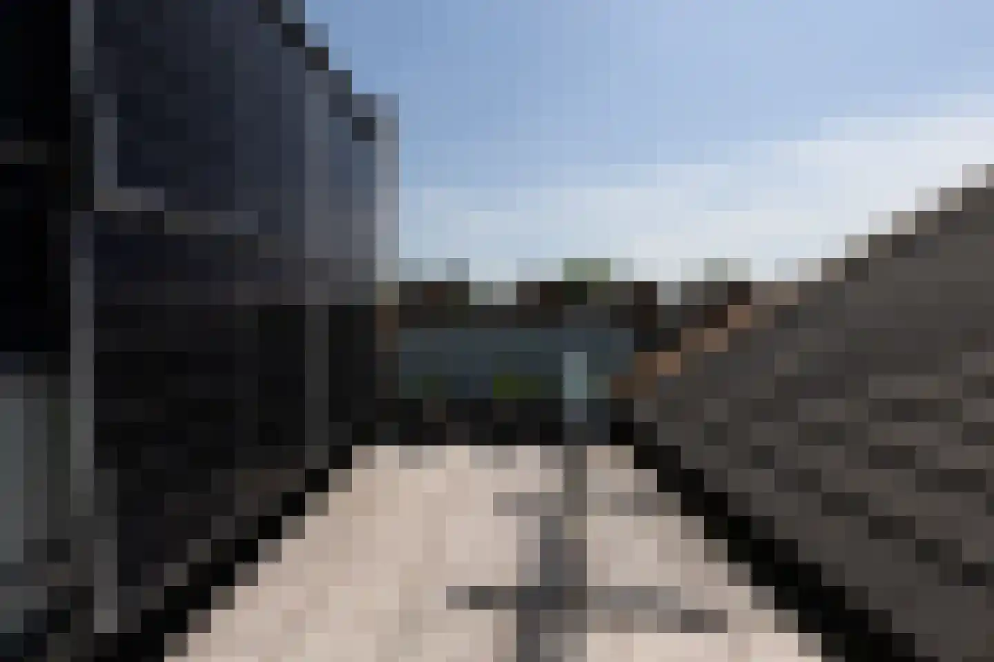 Gele Plomp 40 Amersfoort thumbnail 40