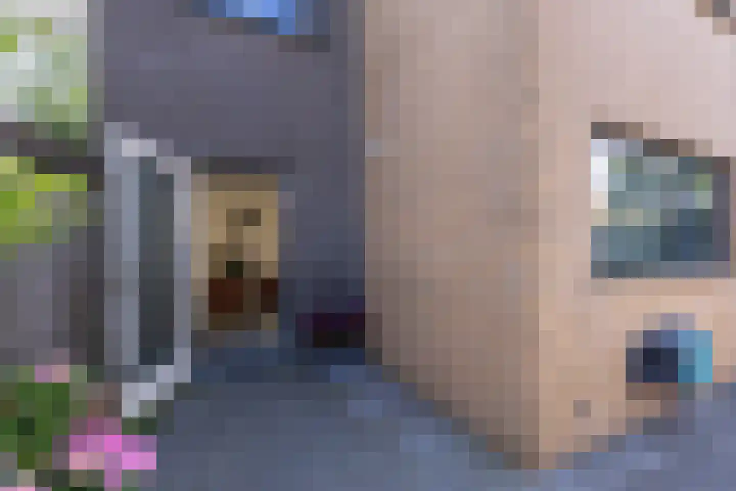 Gele Plomp 40 Amersfoort thumbnail 42
