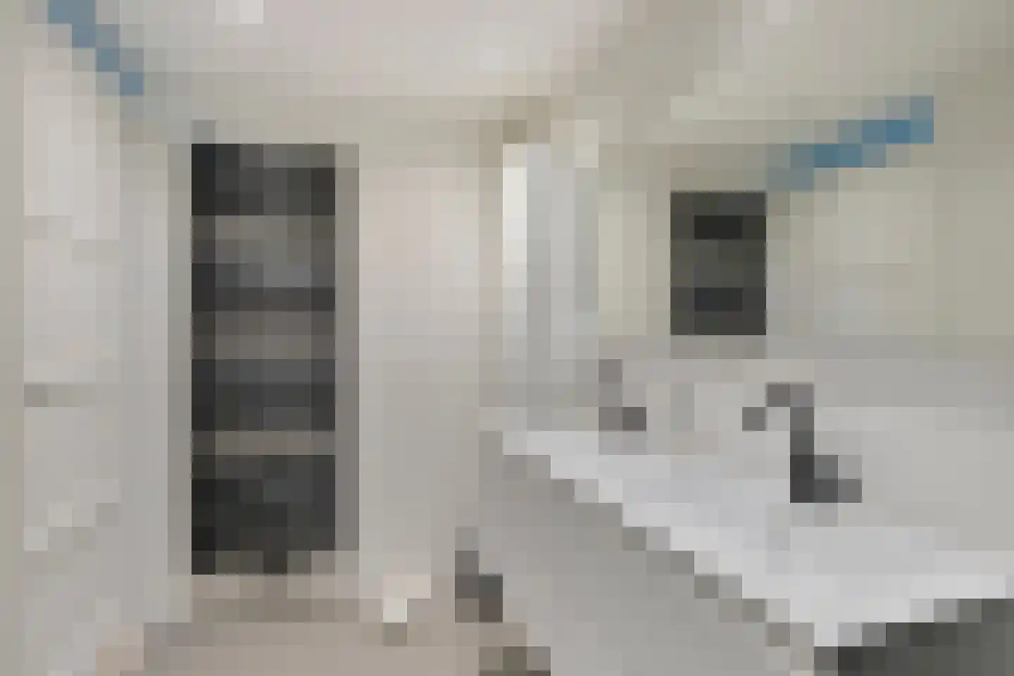 Gele Plomp 50 Amersfoort thumbnail 24