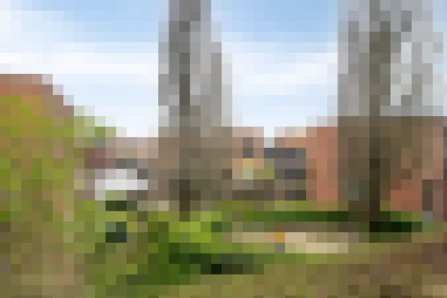Gele Plomp 50 Amersfoort thumbnail 37