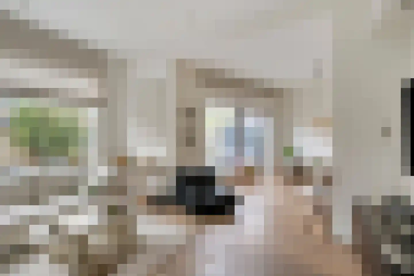 Gele Plomp 50 Amersfoort thumbnail 8