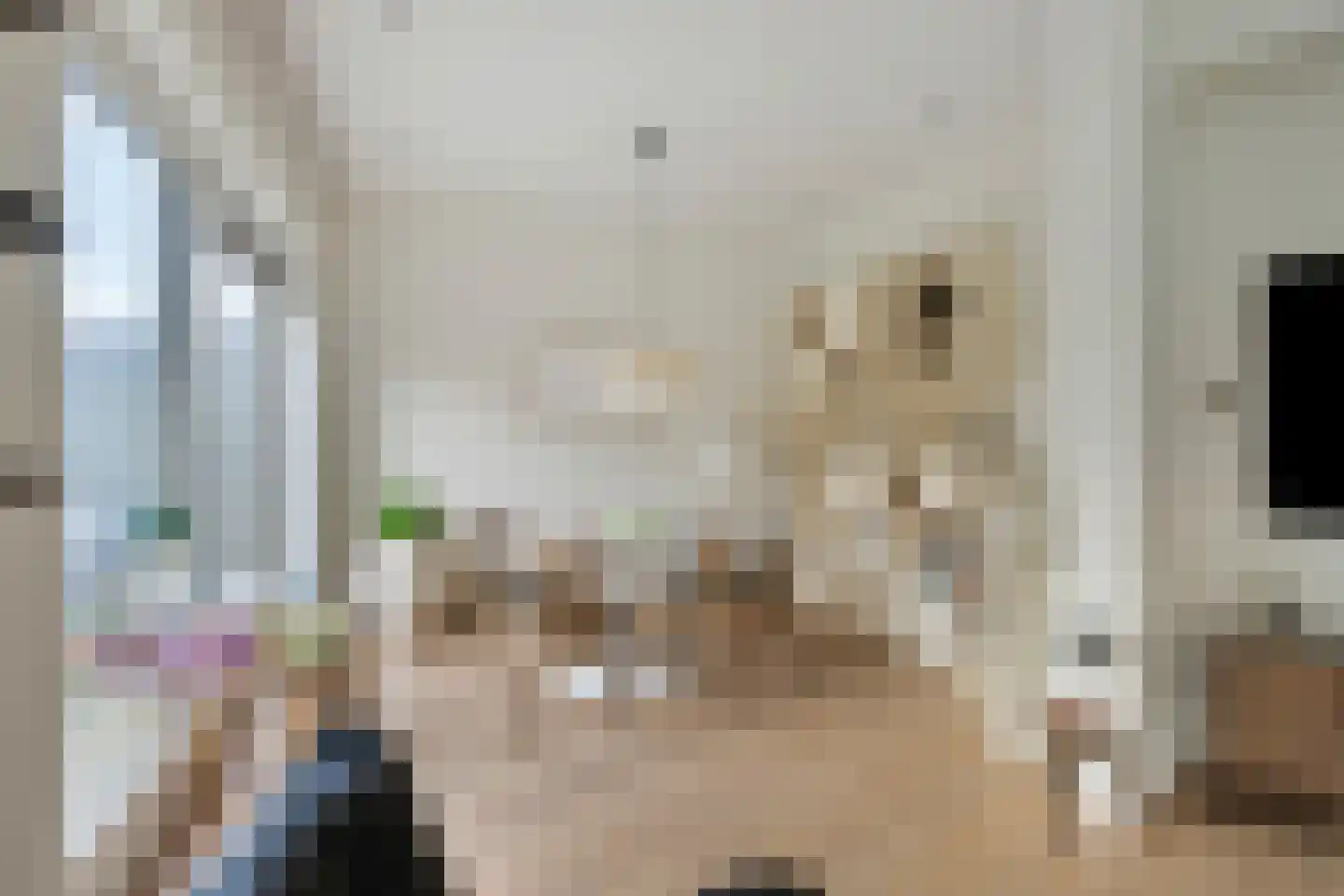Gele Plomp 50 Amersfoort thumbnail 9