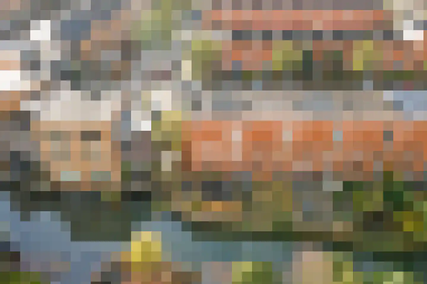 Gele Plomp 54 Amersfoort thumbnail 31