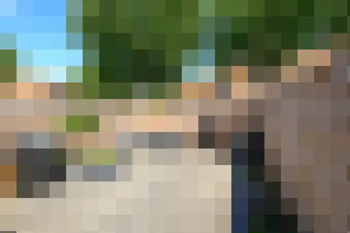 Gele Plomp 7 Naaldwijk thumbnail 10