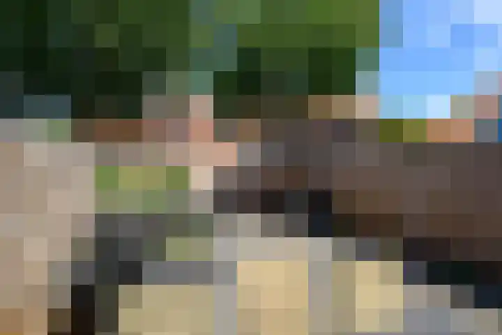 Gele Plomp 7 Naaldwijk thumbnail 11