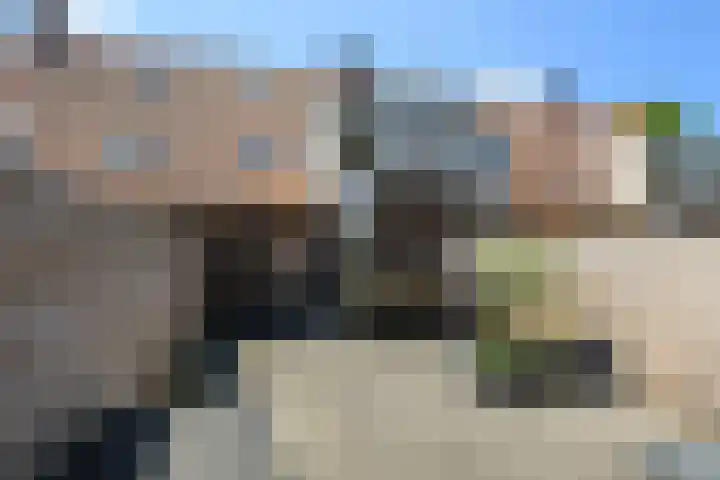 Gele Plomp 7 Naaldwijk thumbnail 13