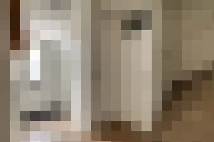 Gele Plomp 7 Naaldwijk thumbnail 14