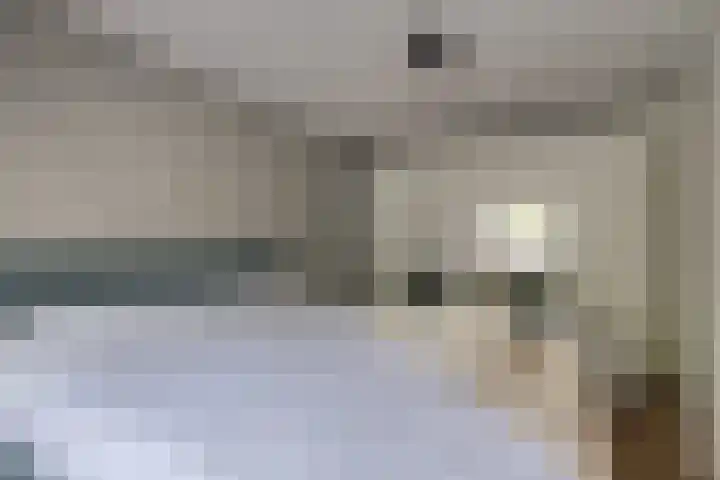 Gele Plomp 7 Naaldwijk thumbnail 19
