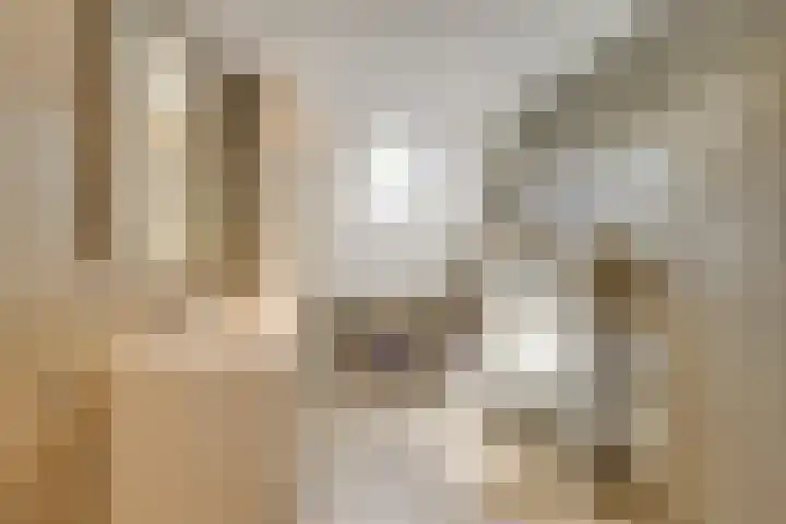 Gele Plomp 7 Naaldwijk thumbnail 20