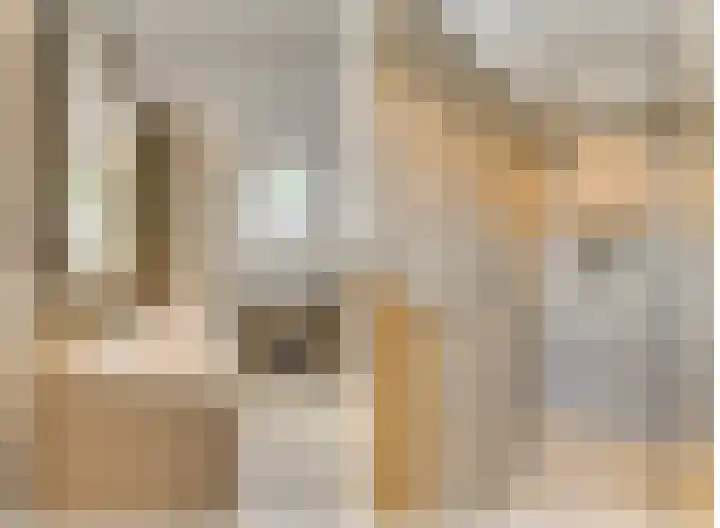 Gele Plomp 7 Naaldwijk thumbnail 21