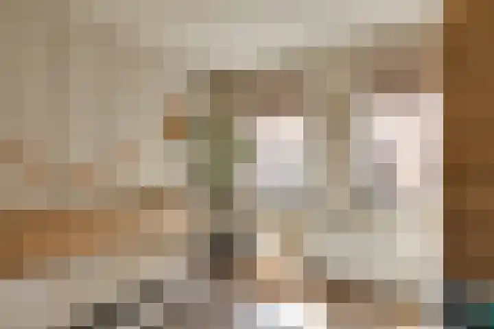 Gele Plomp 7 Naaldwijk thumbnail 23