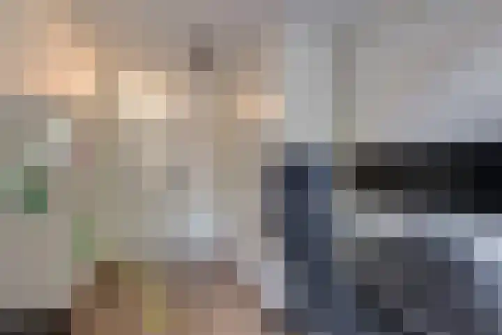 Gele Plomp 7 Naaldwijk thumbnail 26