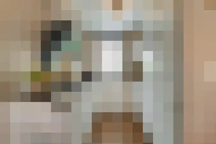 Gele Plomp 7 Naaldwijk foto 3