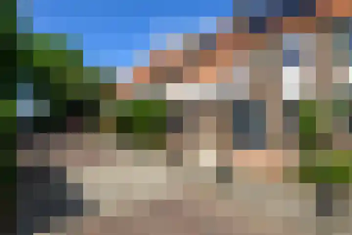 Gele Plomp 7 Naaldwijk thumbnail 31