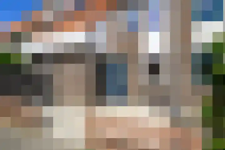 Gele Plomp 7 Naaldwijk thumbnail 32