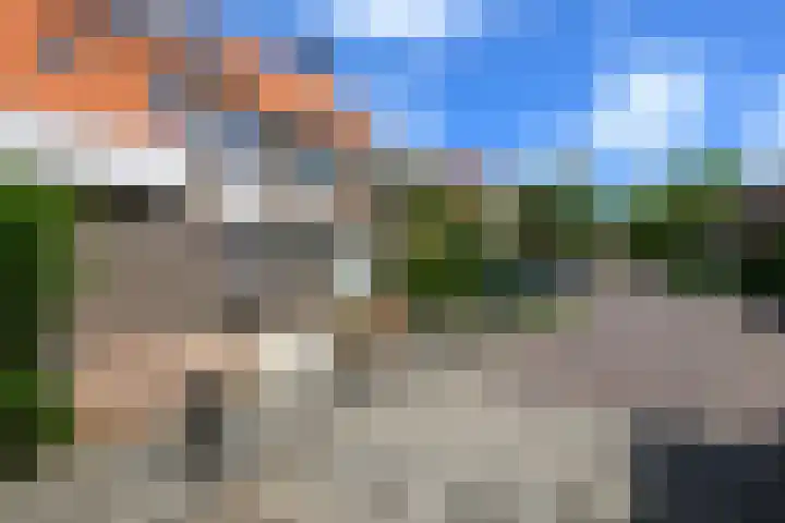 Gele Plomp 7 Naaldwijk thumbnail 33