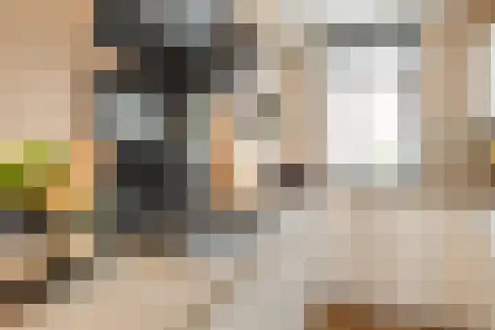 Gele Plomp 7 Naaldwijk thumbnail 5