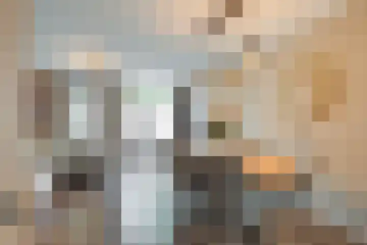 Gele Plomp 7 Naaldwijk thumbnail 7