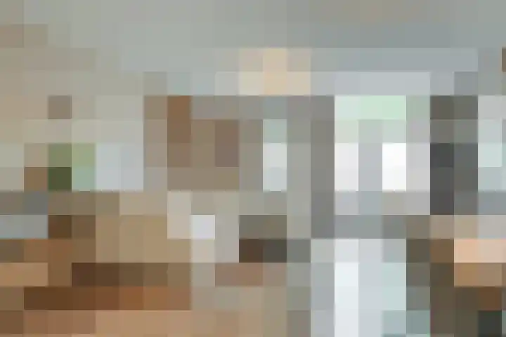 Gele Plomp 7 Naaldwijk thumbnail 8
