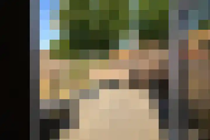 Gele Plomp 7 Naaldwijk thumbnail 9