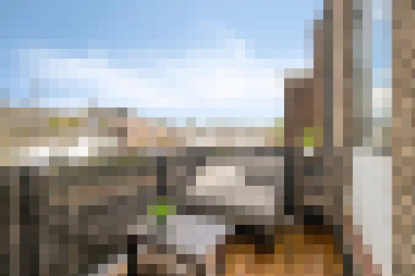 Gele Rijders Plein 16 10 Arnhem thumbnail 14