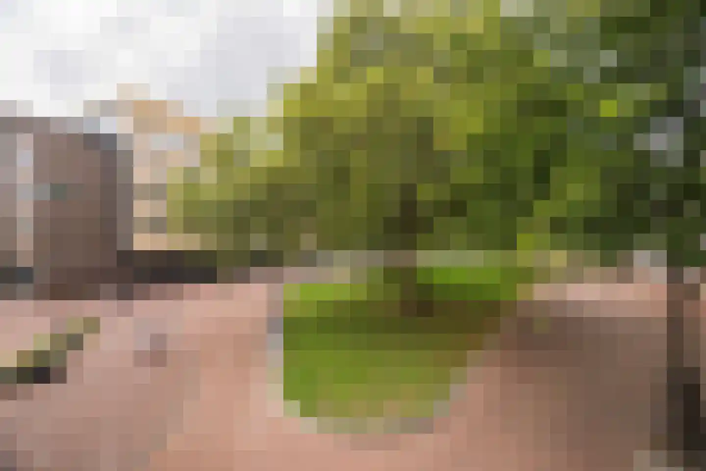 Gele Rijders Plein 17 1R Arnhem thumbnail 27