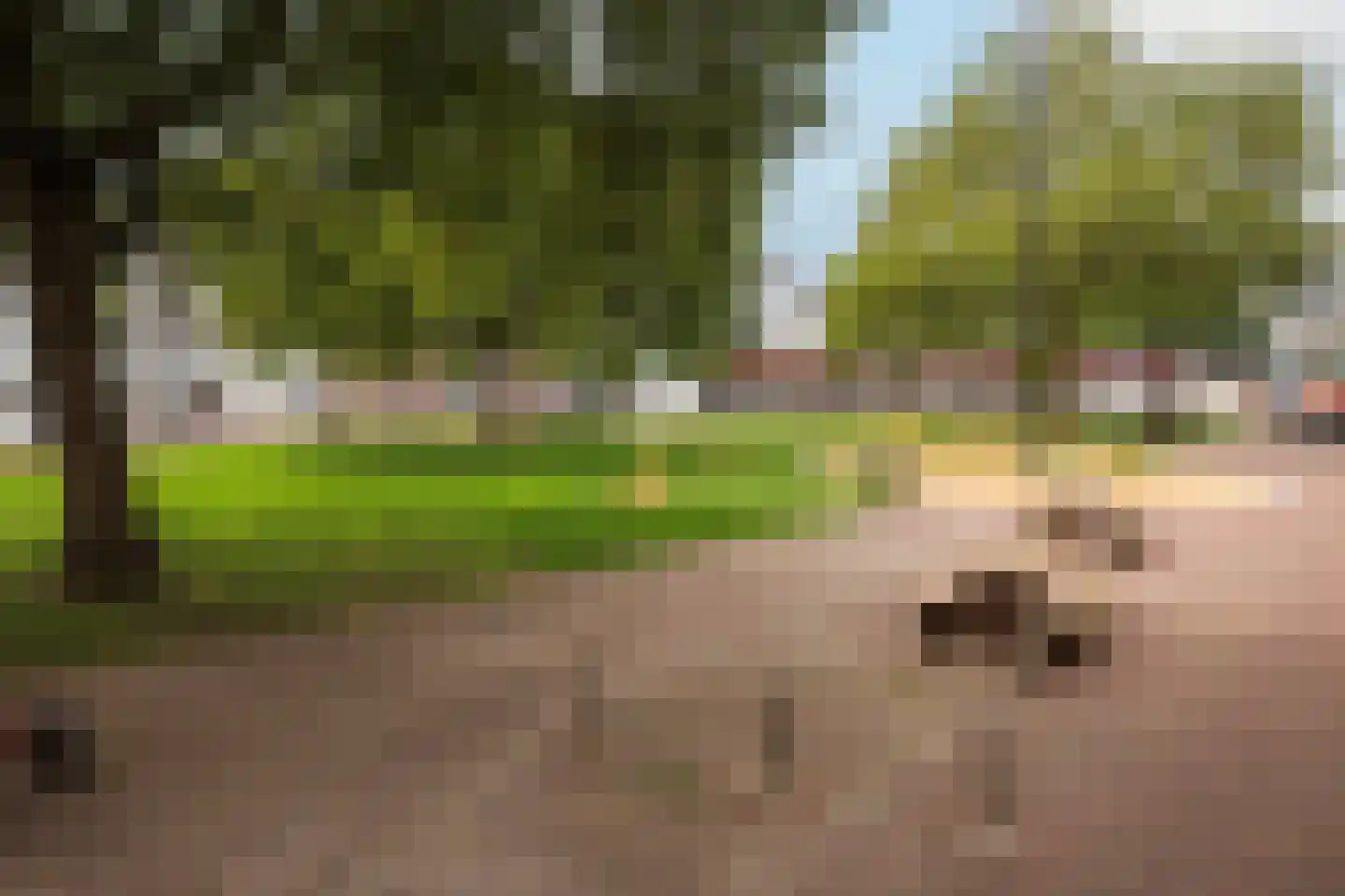 Gele Rijders Plein 17 1R Arnhem thumbnail 29