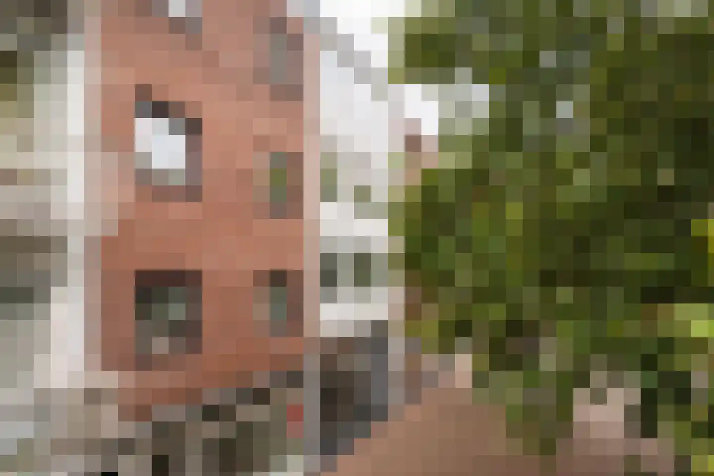 Gele Rijders Plein 17 1R Arnhem thumbnail 8